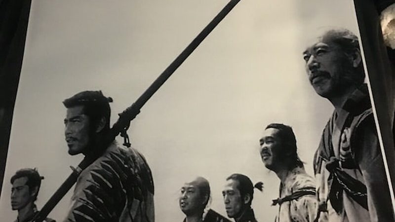 草坪与灌木搭配：打造绿色景观的利弊分析