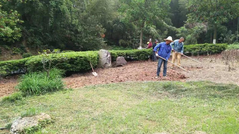 小区绿化改造雨水收集系统