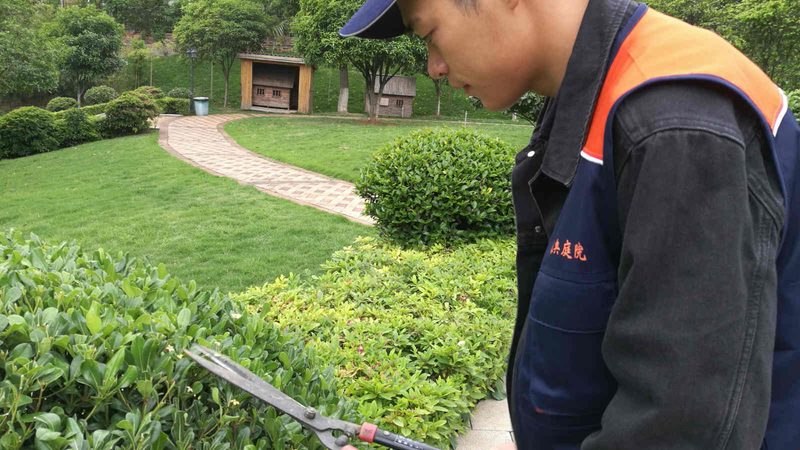 边坡绿化厚层基材喷射技术：施工步骤解析**