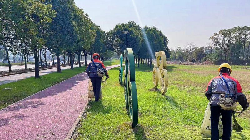 垂直绿化墙：不只是美化，更是城市的绿色呼吸