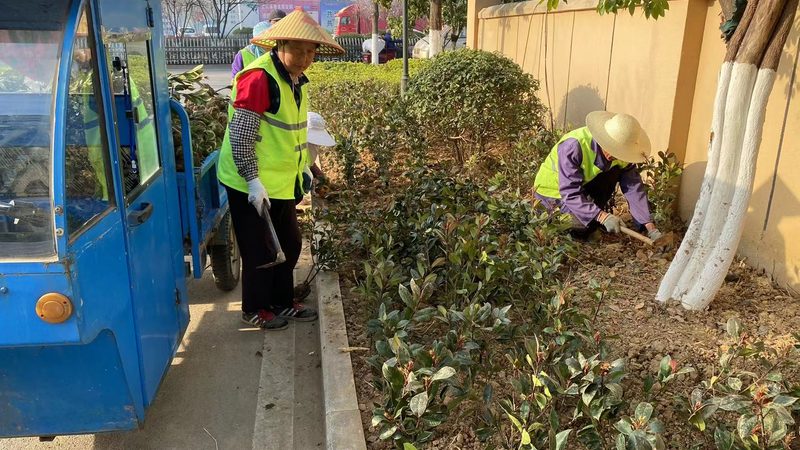 绿化资质办理：最新规范解读与关键要点**