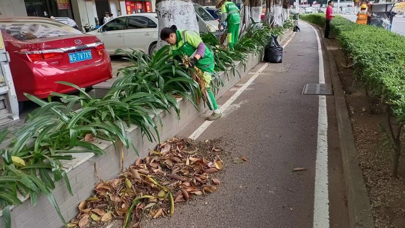 立体绿化墙尺寸规格全解析：打造绿色空间的关键**