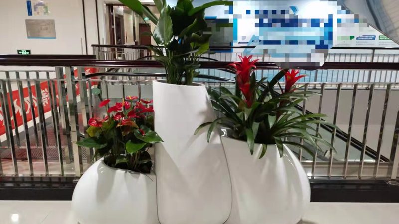 写字楼绿植租摆安装流程