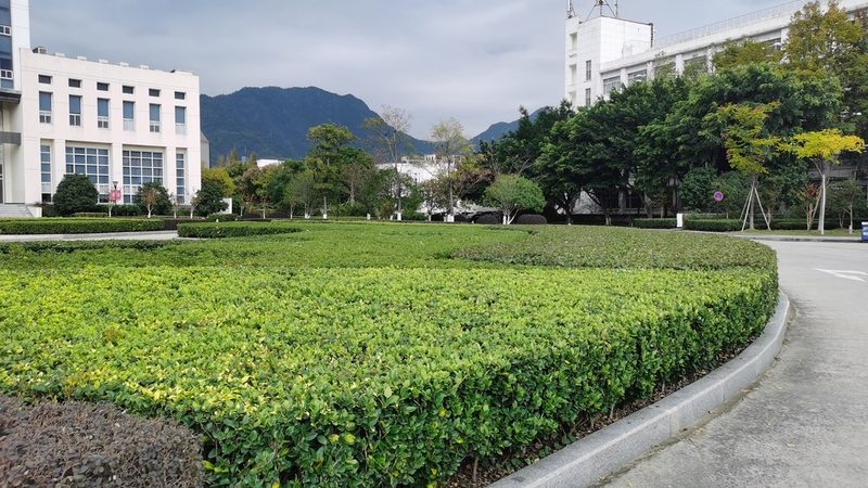 边坡绿化铁丝网：采购时需关注的五大关键点**