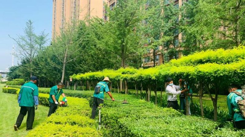 屋顶绿化草坪十大品牌推荐